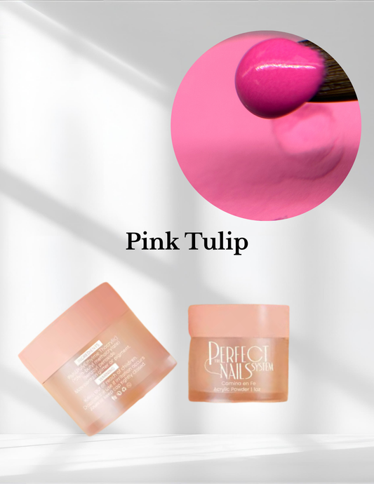 Pink Tulip
